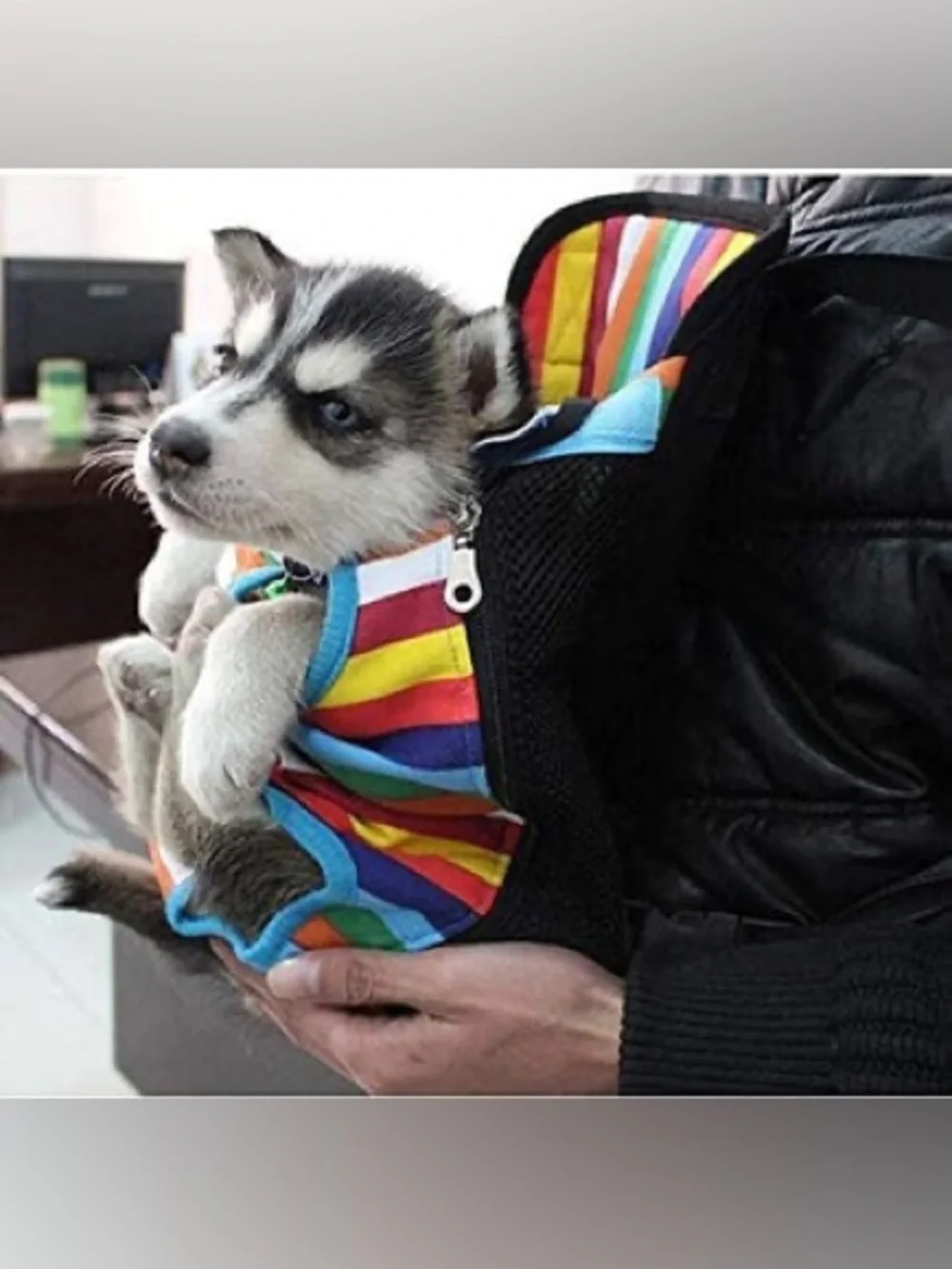 Adjustable Pet Carrier Backpack for Small Dog/Cat - Size L